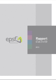 Rapport d'activité 2013